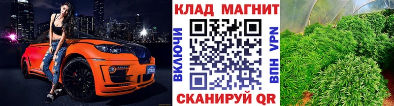 Какие есть наркотики Лакинск СОЛЬ  Галлюциногенные грибы  Бошки Шишки  КОКАИН  ГАШИШ  АМФ 