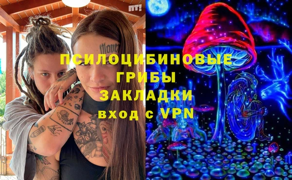 амф Няндома