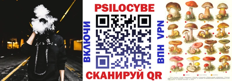 где можно купить   Лакинск  Галлюциногенные грибы Psilocybine cubensis 